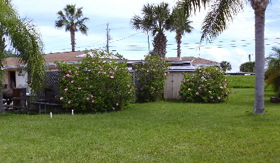 Grassy area where some events are held