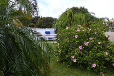 View from the driveway into the Park